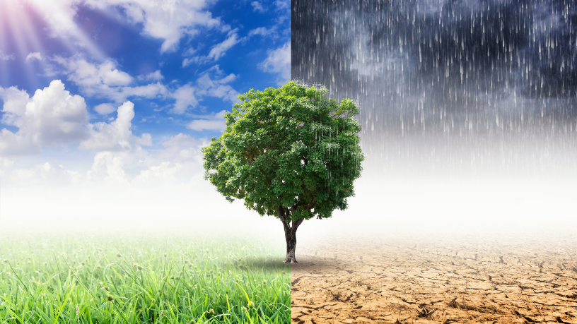 Com foco em resiliência e sustentabilidade, José Henrique Gomes Xavier mostra como a atuação municipal é vital diante das mudanças climáticas.