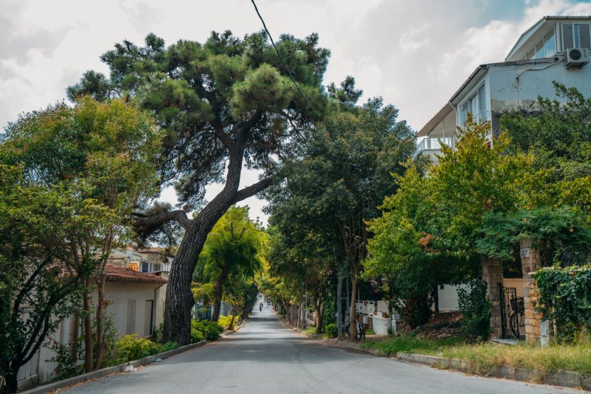 Rua urbana arborizada, ladeada por edifícios residenciais e árvores.